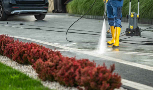 Best Sidewalk and Walkway Cleaning  in Lewisport, KY